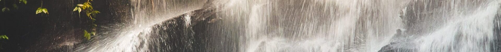 filbert-mangundap-f_0nTK31xjs-unsplash